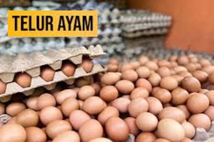 Telor Ayam